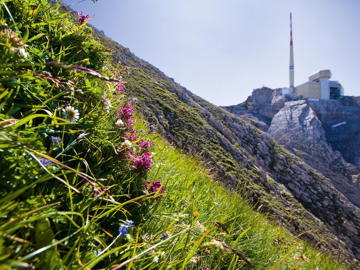 Saentis - Das Hotel Schwagalp Exterior photo